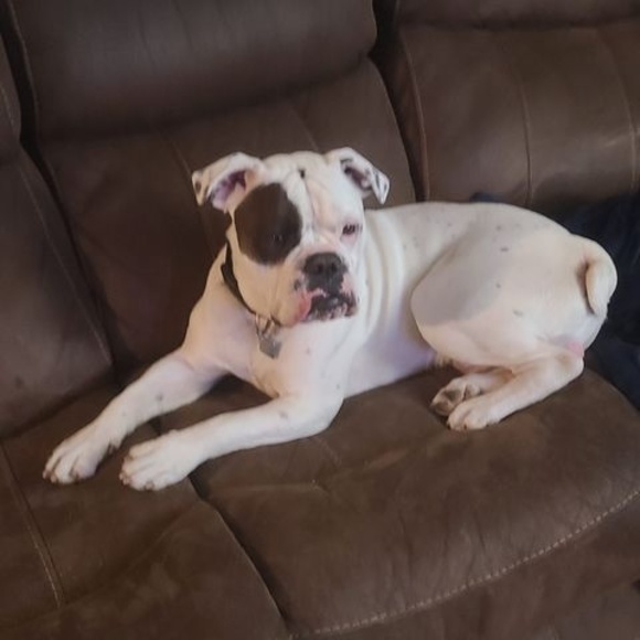 Meet the Posher Other - Meet your Posher, Wendy